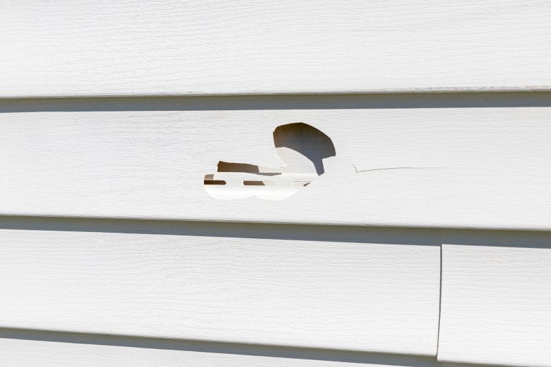 Inspecting Vinyl Siding Damage
