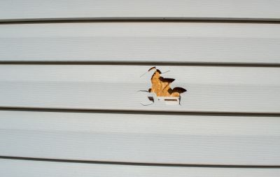 Siding Repair - Siding Installation And Repair Solana Beach, California